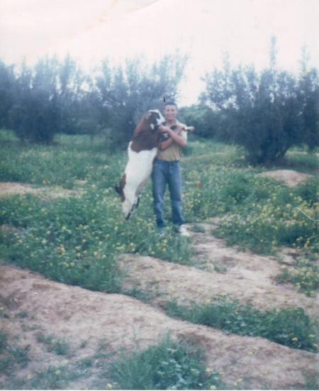 rabi3 avec son chevre mas3oud